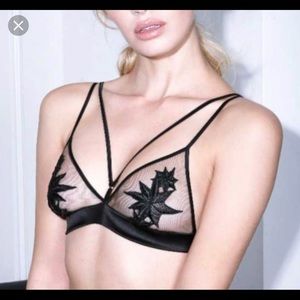 Fleur of England bra